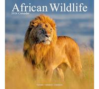 African Wildlife 2026 Calendar | Square Wall Calendar | Animal Gift | Plastic Free Packaging | by Avonside Publishing