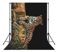 African Wildlife Leopard On Rock Print Backdrop For Photoshoot, Photo Backdrop Background Curtain For Photography Portraits(No Stand)