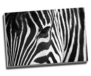 African Zebra Black White Canvas Print Wall Art Picture Canvas Prints Large A1 30 X 20 Inches (76.2Cm X 50.8Cm)