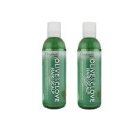 Africa's Best Olive & Clove Oil Hair & Scalp Therapy 6 oz ( Pack of 2 )