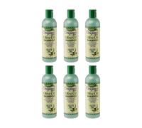 Africas Best Olive Oil Shampoo Original, 355ml, Pack of 6