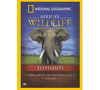 Africa's Wildlife Elephants