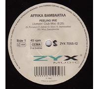 Afrika Bambaataa - Feeling Irie [Vinyl Maxi-Single] [VINYL]
