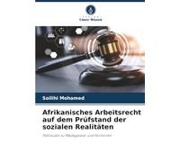 Afrikanisches Arbeitsrecht auf dem Prüfstand der sozialen Realitäten: Fallstudie zu Madagaskar und Komoren