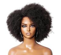 Afro Kinky Curly 13x4x2 Lace Front Wig for Women 14inch Human Hair Wig 250 High Density