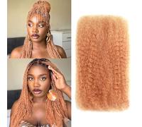Afro Kinky-Curly Human Hair Bulk Dreadlock Extensions Marley Twist Hair Human Hair Extensions Human Braiding Hair Extensions Afro Kinkyhair for Braiding (#27, 16 Inch（Pack of 1))