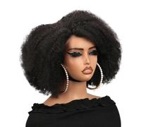 Afro Kinky Curly Human Hair Wig 13x4x2 Lace Front Glueless Wigs 250 Density for Black Women Adds Volume