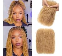 Afro Kinkys Bulk Human Hair for Dreadlock Extensions 3 Packs 150g/Pack Mini Twist Braiding Hair 4C Afro Kinky-Curly Human Hair Springy Twist for Repair Locs (27#, 10 Inch (Pack of 1))