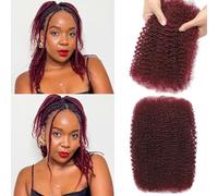 Afro Kinkys Bulk Human Hair for Dreadlock Extensions 3 Packs 150g/Pack Mini Twist Braiding Hair 4C Afro Kinky-Curly Human Hair Springy Twist for Repair Locs (Bug#, 10 Inch (Pack of 1))