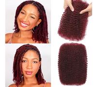 Afro Kinkys Bulk Human Hair for Dreadlock Extensions 3 Packs 150g/Pack Mini Twist Braiding Hair 4C Afro Kinky-Curly Human Hair Springy Twist for Repair Locs (Bug#, 12 Inch (Pack of 1))