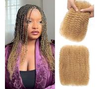 Afro Kinkys Bulk Human Hair for Dreadlock Extensions 3 Packs 150g/Pack Mini Twist Braiding Hair 4C Afro Kinky-Curly Human Hair Springy Twist for Repair Locs (27#, 14 Inch (Pack of 1))