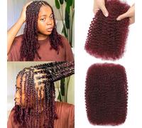 Afro Kinkys Bulk Human Hair for Dreadlock Extensions 50g/Pack Marley Twist Braiding Hair Mini Twist Human Hair Bulk for Repair Locs (Bug#, 14 Inch (Pack of 1))