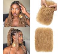 Afro Kinkys Bulk Human Hair for Dreadlock Extensions Mini Twist Braiding Hair 4C Afro Kinky-Curly Human Hair Springy Twist for Repair Locs (27#, 12 Inch (Pack of 1))