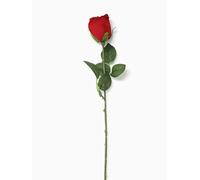 AFS 55cm Long Single Stem Red Rose - Valentine Wedding Gift Artificial Flower