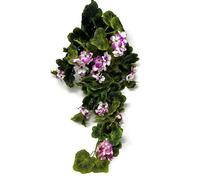 AFS 80cm Artificial Trailing Geranium - Colour Choice - Hanging Basket Wedding Flower Decorations (Purple)
