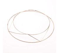 AFS Raised Wire Wreath Ring - Pack of 20 - Christmas Florist 8" 10" 12" 14" 16" (Pack of 20 x 14")