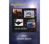 After Desert Storm