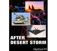After Desert Storm