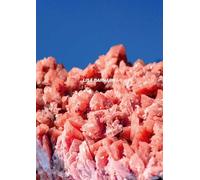 After Nature Ulrike Crespo Photography Prize 2025 - Lisa Barnard