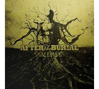 After the Burial Rareform (Vinyl) 12" Album