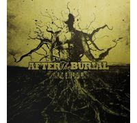After the Burial Rareform (Vinyl) 12" Album (US IMPORT)