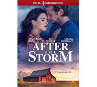 AFTER THE STORM