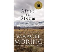 After the Storm: A Novel