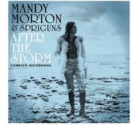 AFTER THE STORM - COMPLETE RECORDINGS - 6CD/DVD BOX SET - 6CD - Z46z