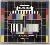 After the Watershed