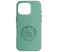 "Afterbirth Matters" Postpartum Doula and Support Design Case for iPhone 16 Pro