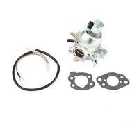 Aftermarket Carburetor for For LT-166, Compatible with For & 16HP For Vanguard Engine, Replacement Lawn Mower Part with Gaskets and Wire Connector