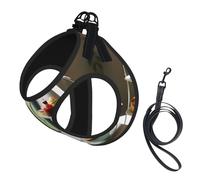 Afternoon Tea Print Dog Harness with Leash Set with Thickened Padded Vest for Extra-Small/Small Medium Dogs