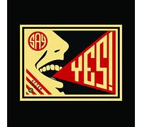 Afternoons - Say Yes [VINYL]