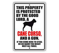 Afterprints This Property is Protected by The Good Lord A Cane Corso Dog Unique Novelty Caution Outdoor Warning Notice Aluminum Metal Sign