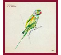 Afters by The Helicopter of the Holy Ghost (CD, 2021)