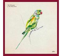 Afters by The Helicopter of the Holy Ghost (Record, 2021)