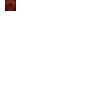 Afton Wolfe - Ophiuchus - Vinyl LP - The Orchard