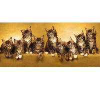 AG DESIGN Cats Giant Wall Poster, Non Woven, Multi-Colour, 202 x 90 cm