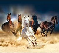 AG Design Energetisch FCS XL 4824 Galloping Horses Curtains for Living Room, Kitchen, Bedroom, Garden Shed, 180 x 160 cm, 2 Pieces, Multicoloured, H160 x B180 cm (1er Pack)