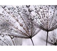 AG DESIGN Photo Wallpaper/Giant Wall Poster, Non-Woven, Multi-Colour, 160 x 110 cm