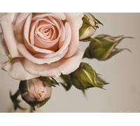 AG DESIGN Photo Wallpaper/Giant Wall Poster, Non-Woven, Multi-Colour, 160 x 110 cm