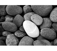 AG DESIGN Photo Wallpaper/Giant Wall Poster, Non-Woven, Multi-Colour, 160 x 110 cm/63 x 43-Inch