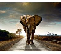 AG DESIGN Photo Wallpaper/Giant Wall Poster, Non-Woven, Multi-Colour, 360 x 270 cm/142 x 106-Inch