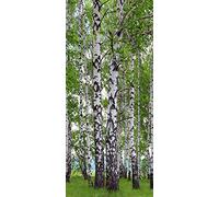 AG DESIGN Photo Wallpaper/Giant Wall Poster, Non-Woven, Multi-Colour, 90 x 202 cm