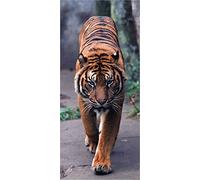 AG DESIGN Photo Wallpaper/Giant Wall Poster, Non-Woven, Multi-Colour, 90 x 202 cm