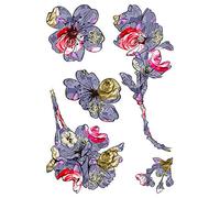 AG Design Wall Sticker Self Adhesive, Multicolor, 42,5x65 cm/16,7x25,5 inches