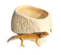 Agama Bearded Cave - Hideaway with Built-in Feeding Bowl,Terrarium Shelter | For Agam Bearded Geckos Spider Lizard Snakes Terrarium