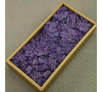 AGARES Preserved Reindeer Moss, Natural Stabilized Moss for Moss Wall, DIY Crafts, Frames, Terrariums, Artificial Plant Decoration, Long-Lasting No Maintenance (Violet, 100g)