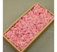 AGARES Preserved Reindeer Moss, Natural Stabilized Moss for Moss Wall, DIY Crafts, Frames, Terrariums, Artificial Plant Decoration, Long-Lasting No Maintenance (Sweet Pink, 100g)