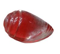 Agarwal Rudraksha Crystal Clear Shankh For Pooja/ 20-30 Gram/Free 5 Mukhi Rudraksha With German Silver Caping-B0B51KPGMRNAMZ